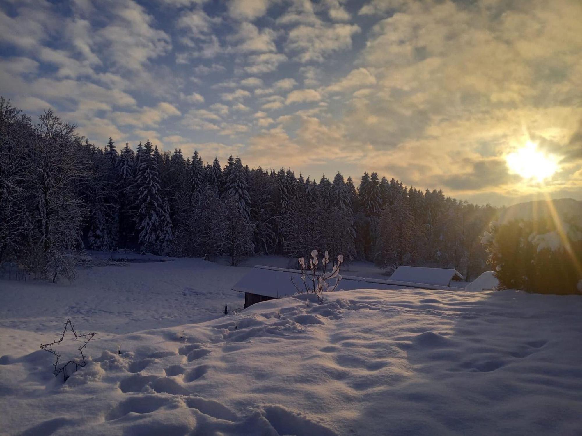 Ferienwohnung Im Bayerischen Wald Mit Terrasse 비에탁 외부 사진