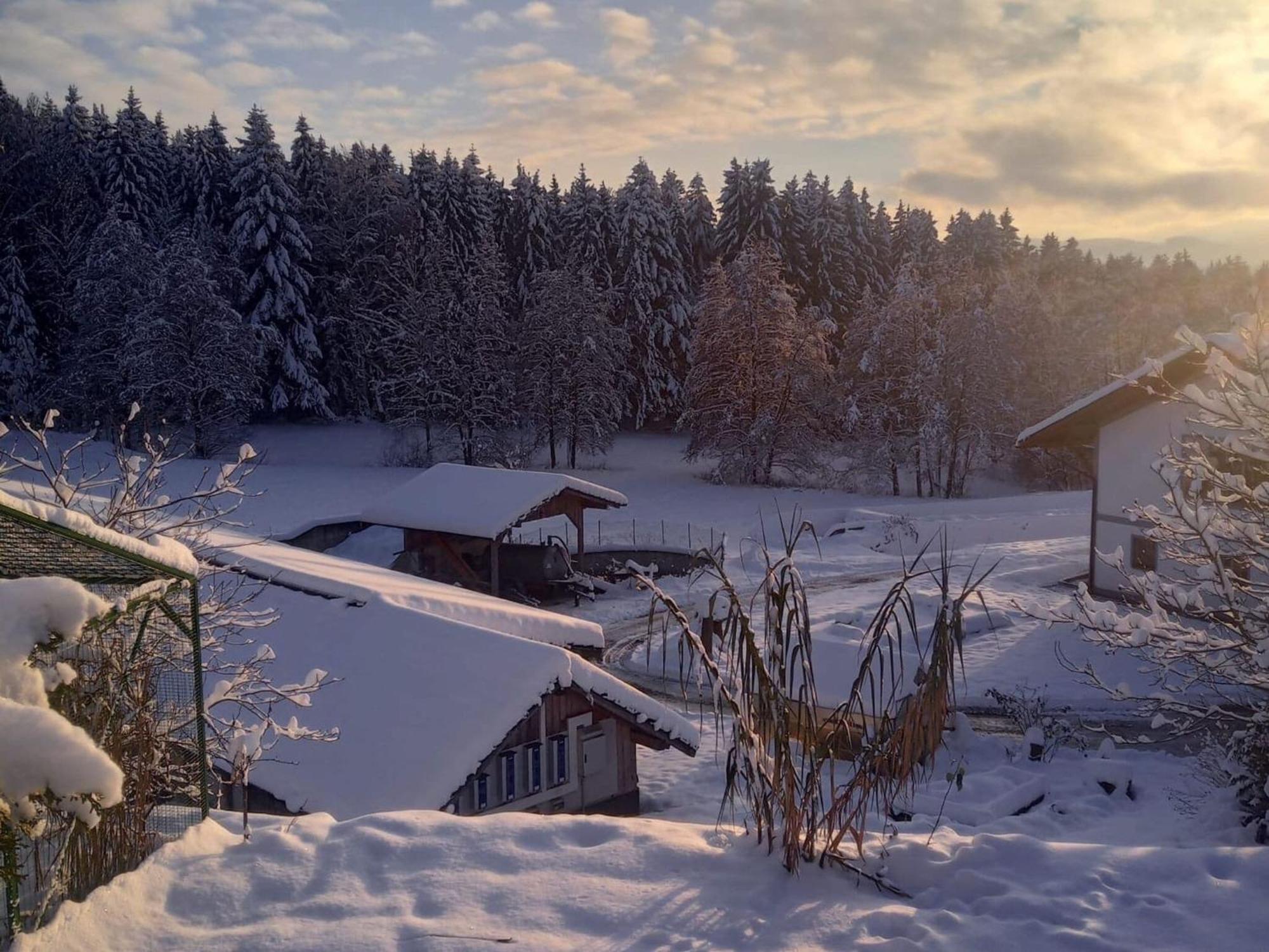 Ferienwohnung Im Bayerischen Wald Mit Terrasse 비에탁 외부 사진